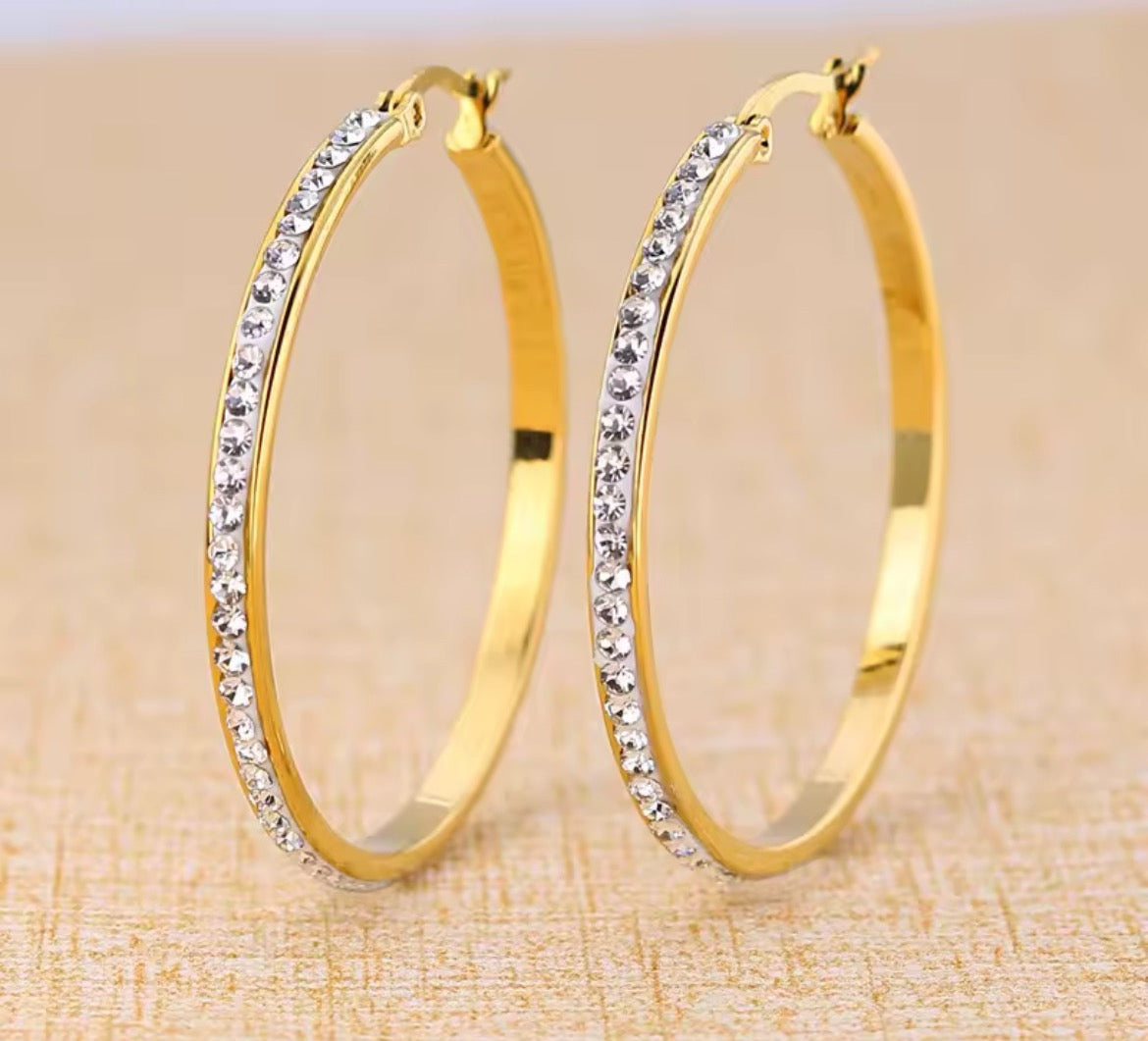 Fashion Hoop Earrings