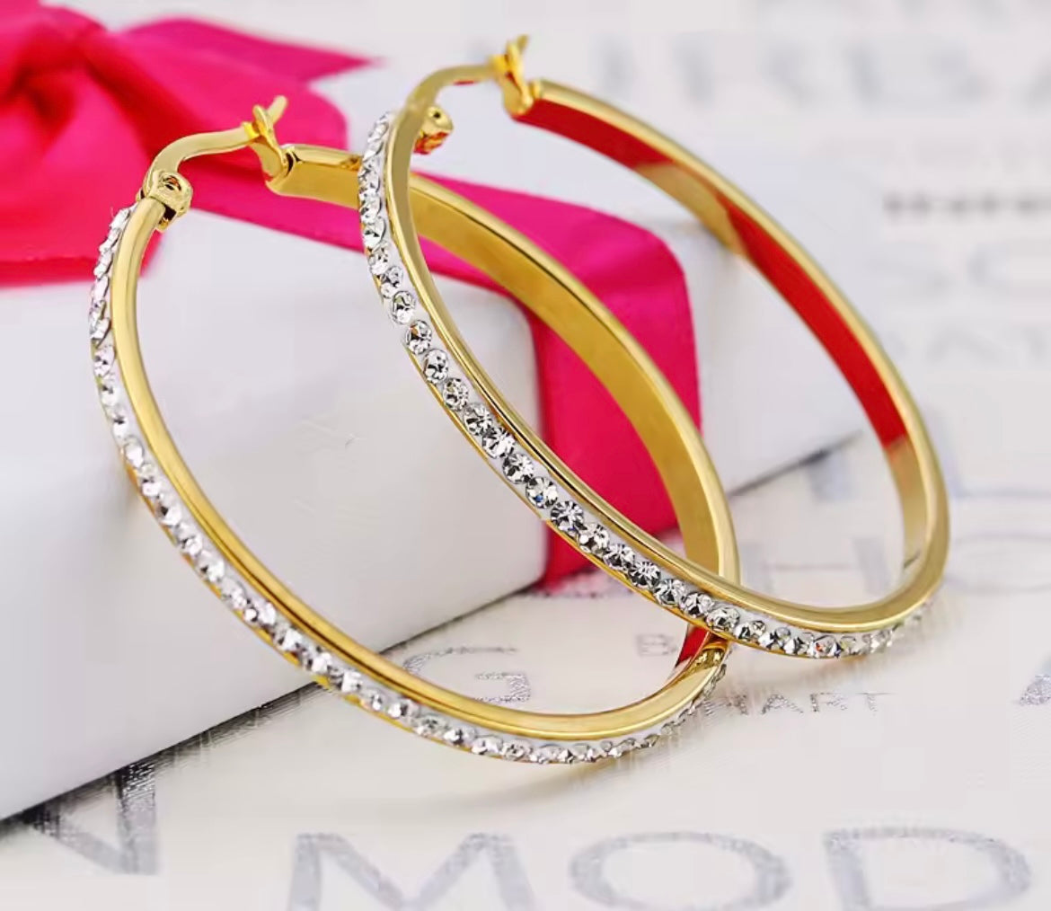 Fashion Hoop Earrings