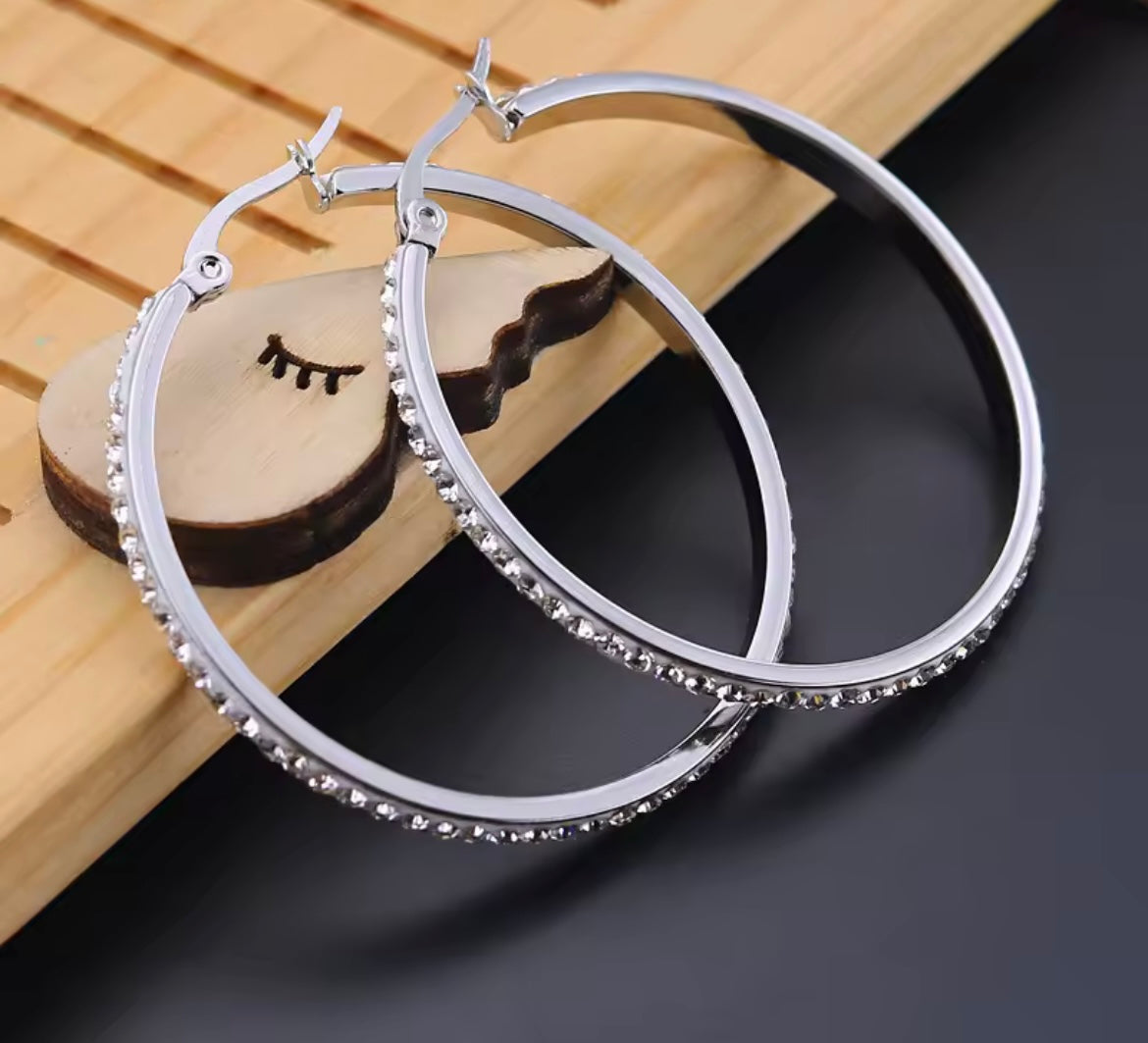Fashion Hoop Earrings