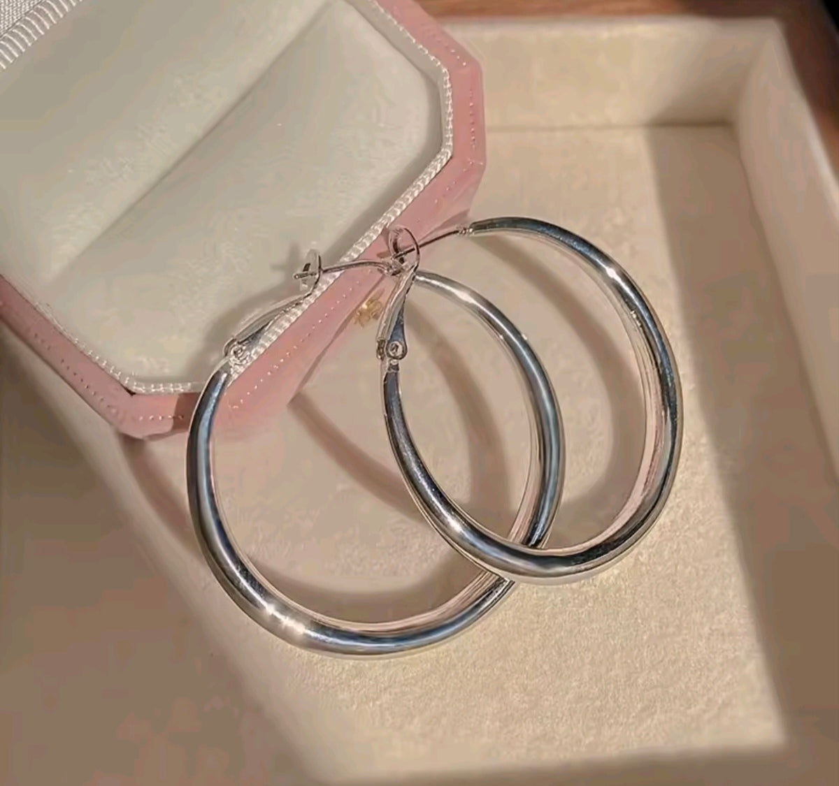Stainless Steel Big Hoop Earrings